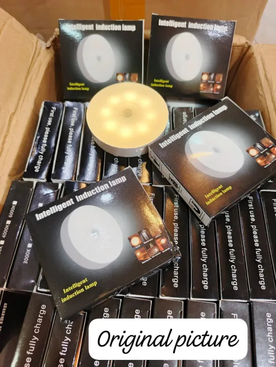 Pile of 'Intelligent Induction Lamp' boxes with a single lamp on top.